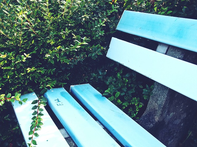 金州勇士在 金州勇士在