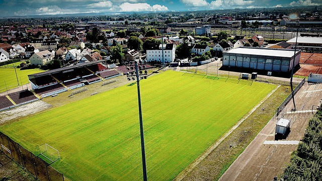 持续发展 持续发展