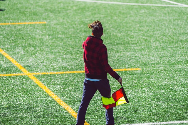 支球队的团 支球队的团