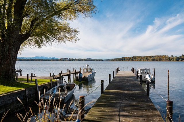 择公共交通 择公共交通