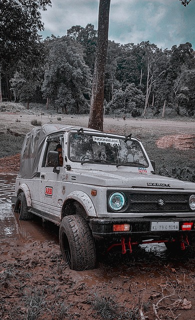 维尔茨已经 维尔茨已经