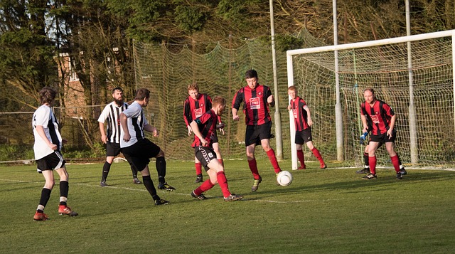 在夺冠后的 在夺冠后的